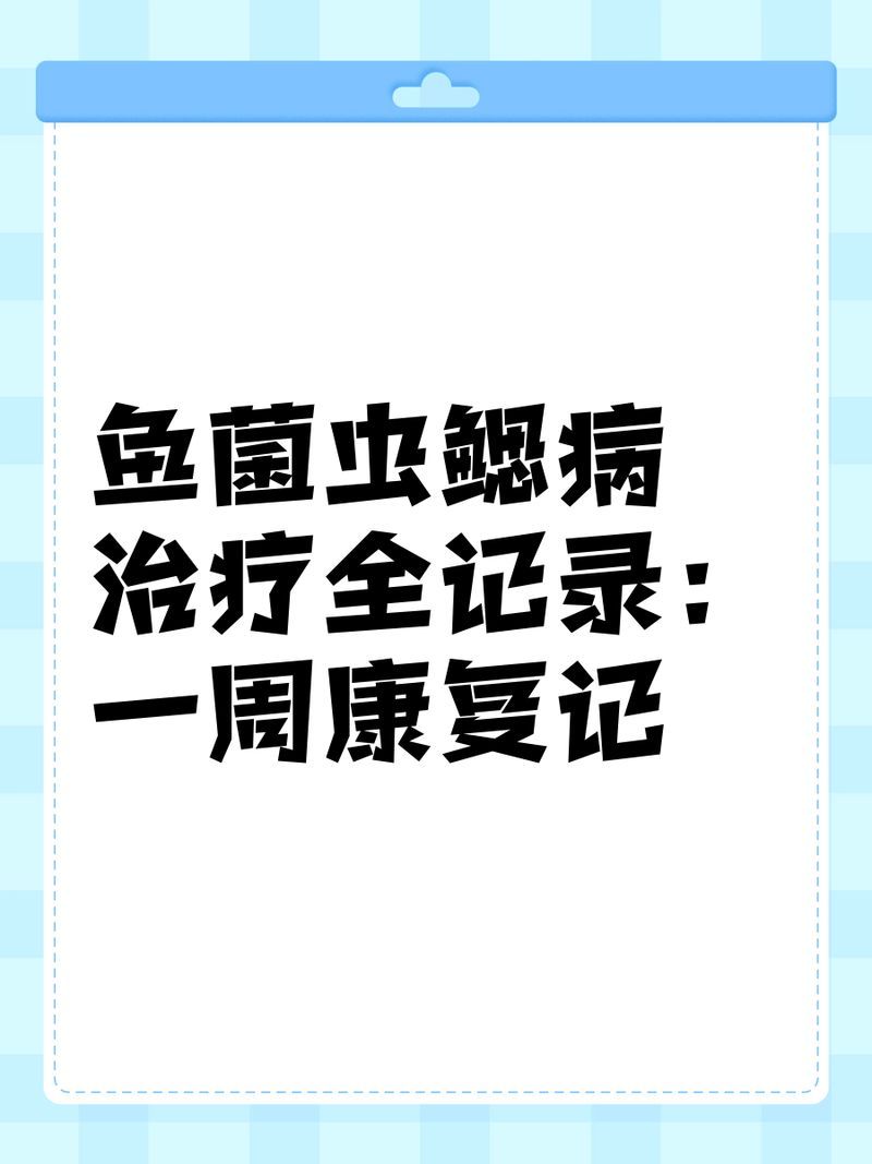 如何預(yù)防龍魚感染鰓蟲，如何預(yù)防性殺蟲