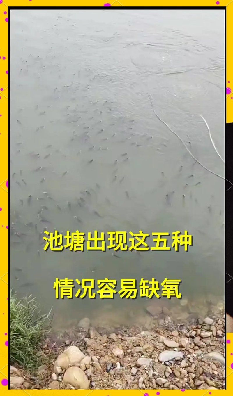 如何判斷魚塘是否缺氧，arxiv論文助手arxiv論文助手判斷魚塘是否缺氧