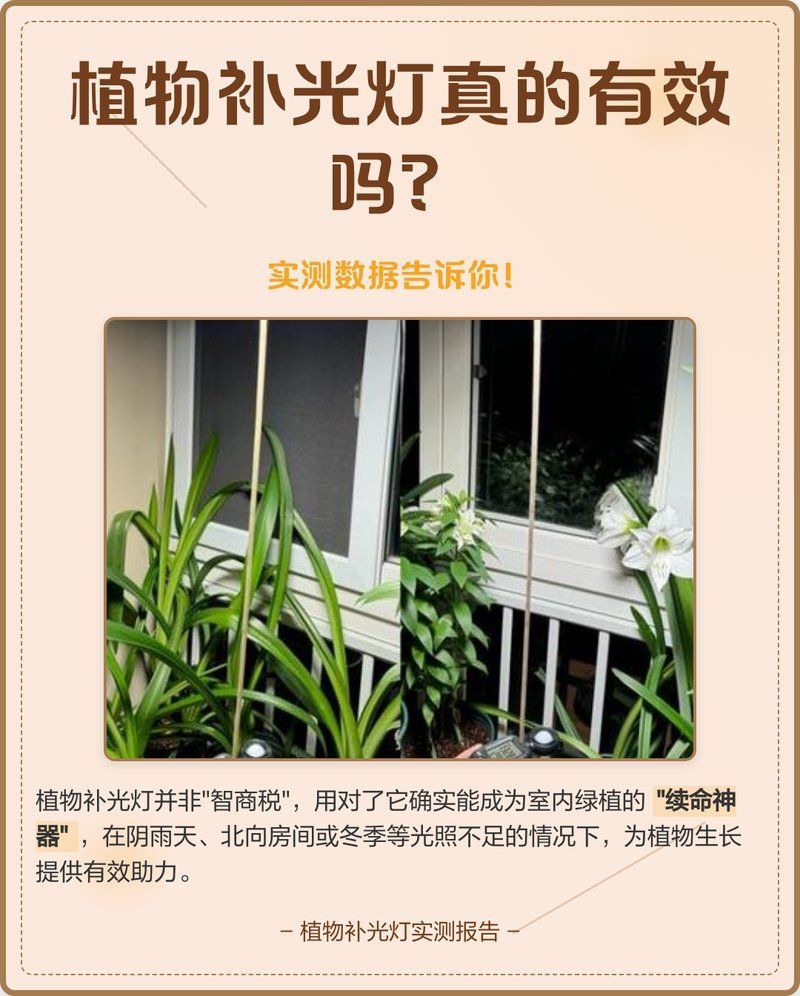 13000k燈對植物生長影響，13000k光譜分布特征 13000k燈對植物生長影響，13000k光譜分布特征 龍魚百科 第1張