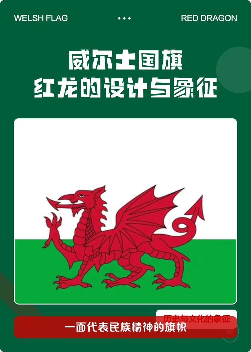 紅龍旗在不同國家的含義，“紅龍旗”在不同國家的象征意義 紅龍旗在不同國家的含義，“紅龍旗”在不同國家的象征意義 龍魚百科 第7張
