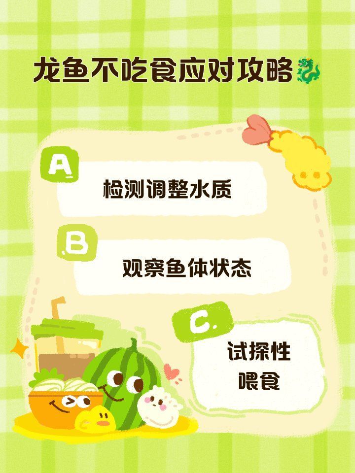 龍魚不吃食應該如何處理，寵圈首席觀察員觀察龍魚不吃食應對攻略
