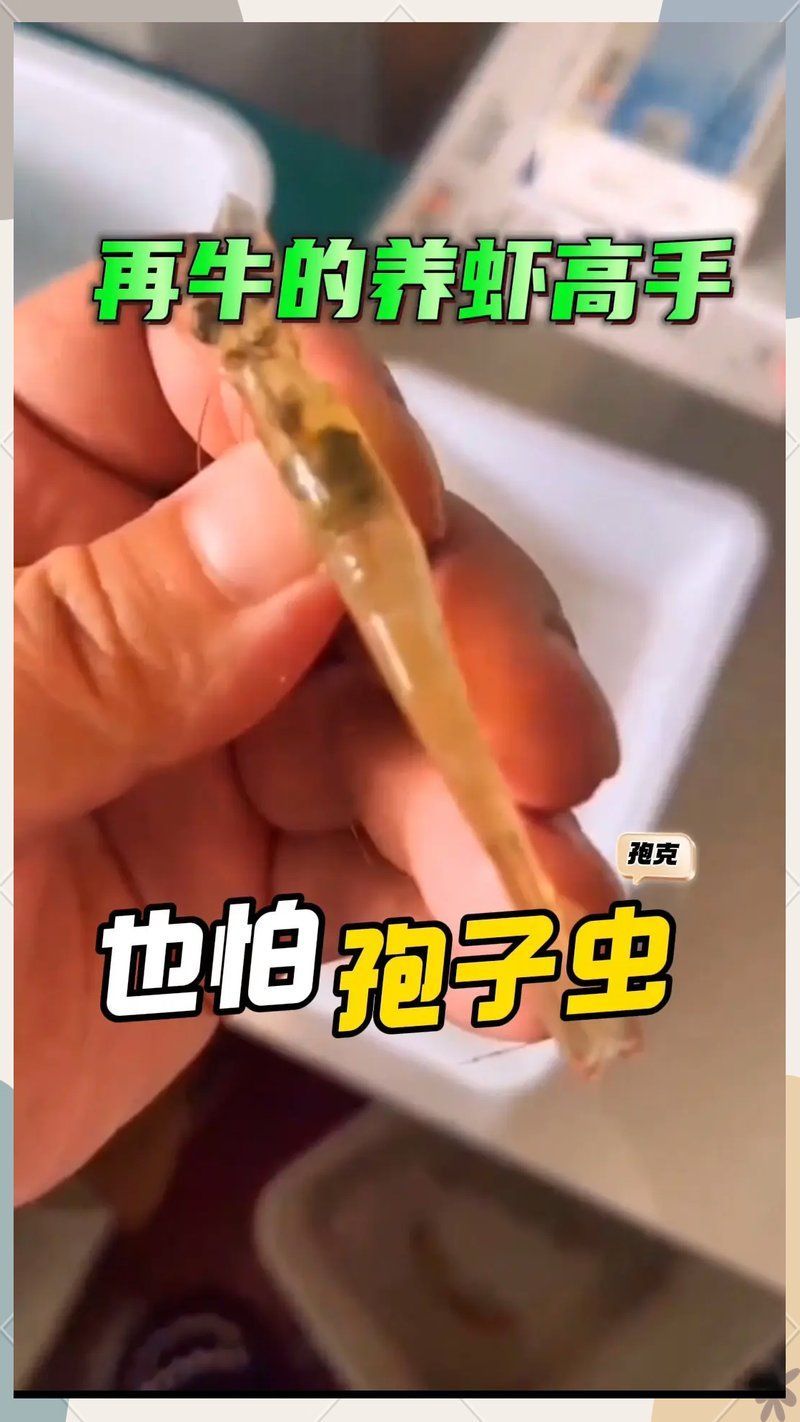孢子蟲感染如何有效處理，如何判斷自己是否感染了孢子蟲