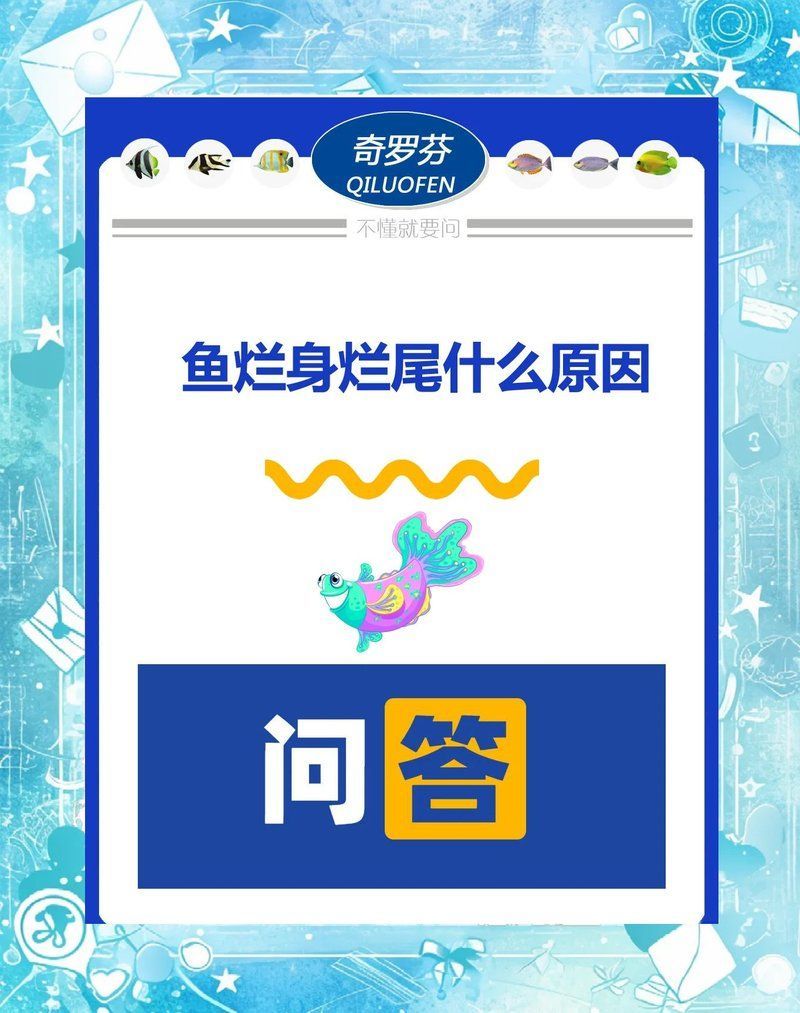 龍魚爛身能自愈嗎，魚爛身爛尾揭秘原因及解決方法魚爛身爛尾揭秘原因及解決方法
