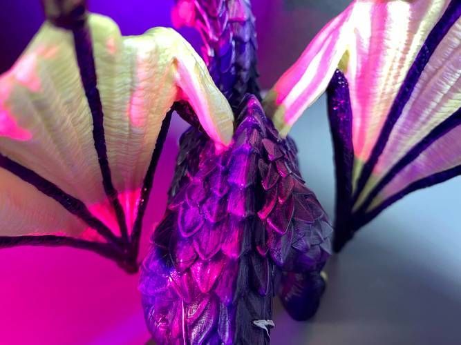 如何鑒別紫色龍魚的真偽？，如何鑒別紫色龍魚