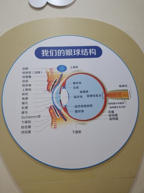 如何預(yù)防魚(yú)眼睛白膜復(fù)發(fā)，arxiv論文助手（arxiv論文助手”未返回有效論文