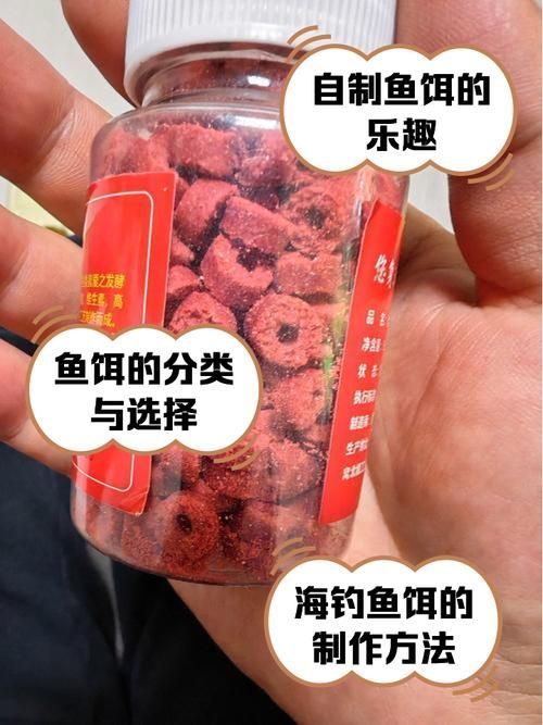 有哪些活餌適合小龍魚食用