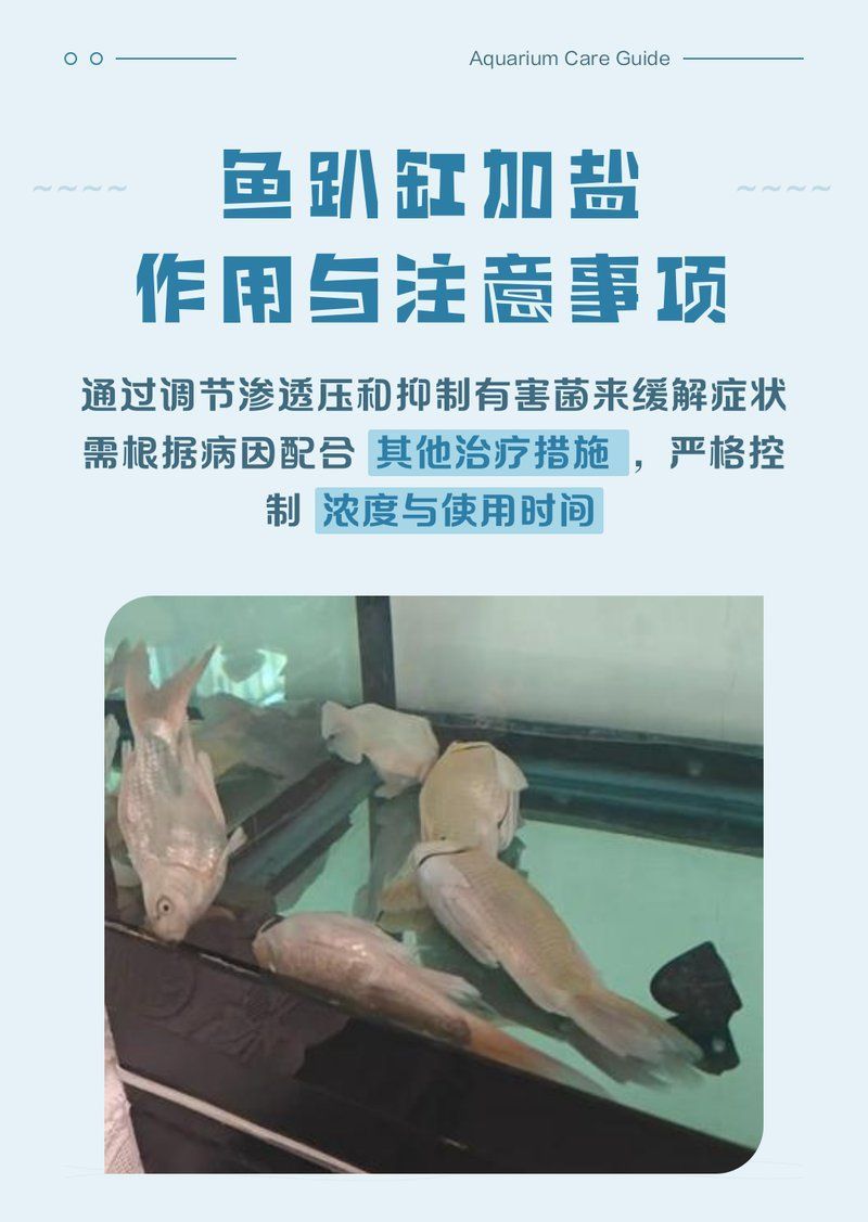 魚趴缸加鹽多少合適，魚趴缸加鹽多久換一次水,