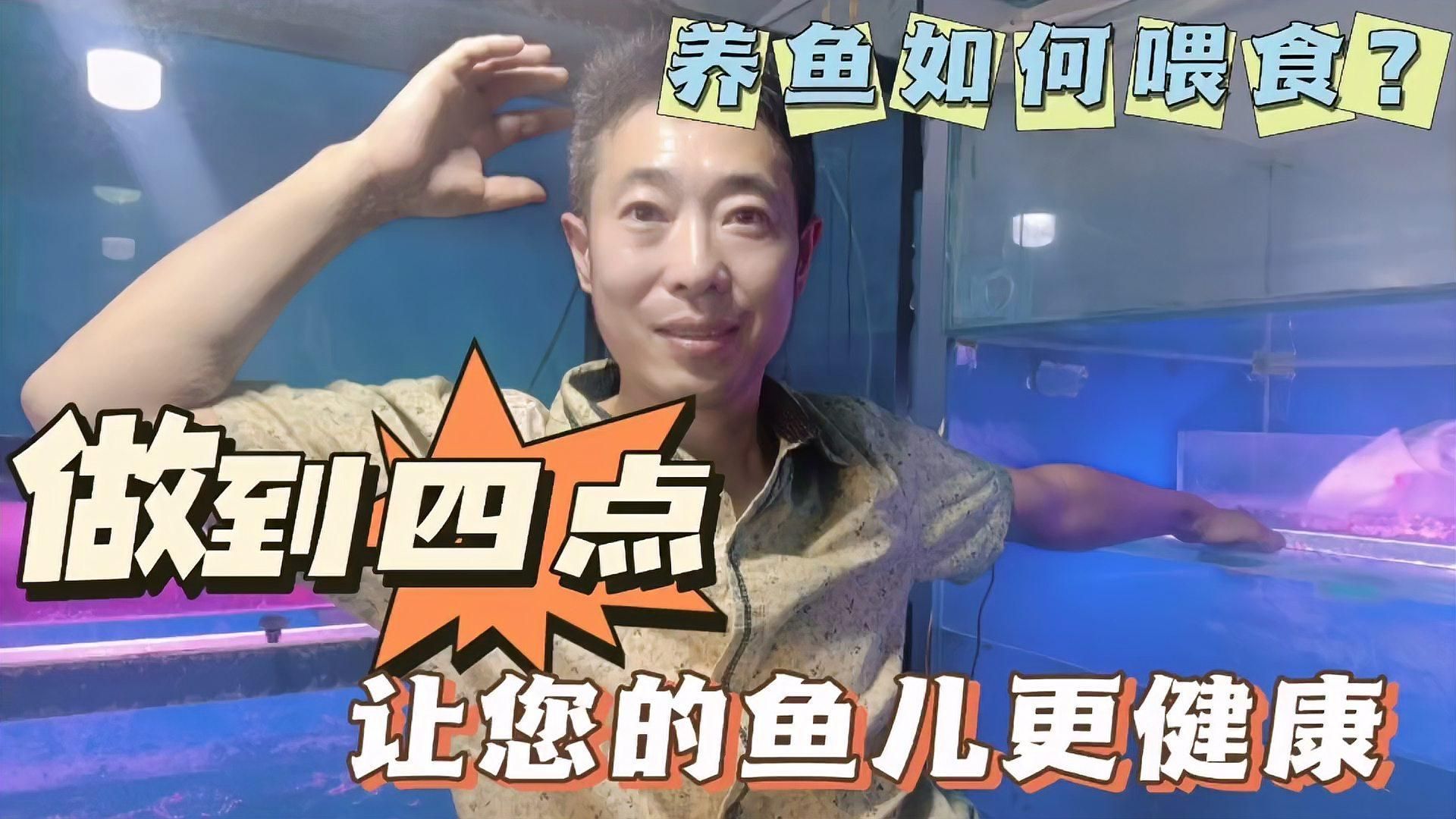 杜龍魚一周吃幾次合適，杜龍魚一周喂幾次，關(guān)鍵看它的生長階段和體質(zhì)和體質(zhì)狀況 杜龍魚一周吃幾次合適，杜龍魚一周喂幾次，關(guān)鍵看它的生長階段和體質(zhì)和體質(zhì)狀況 龍魚百科 第1張