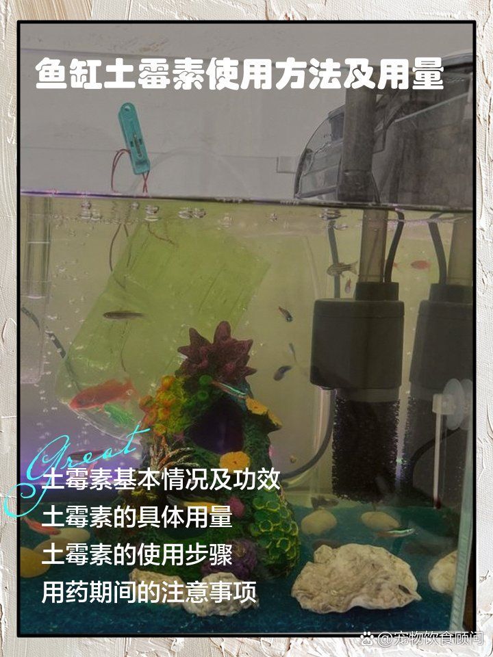 土霉素治療爛尾病的劑量是多少，土霉素治療爛尾病有什么成功案例