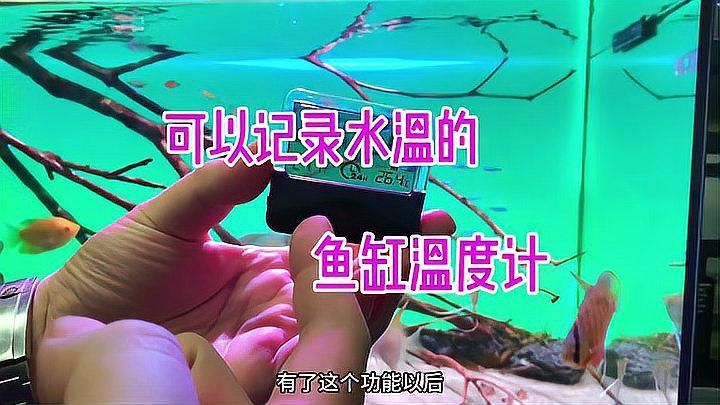 如何監(jiān)測魚缸水溫？，如何監(jiān)測魚缸水溫