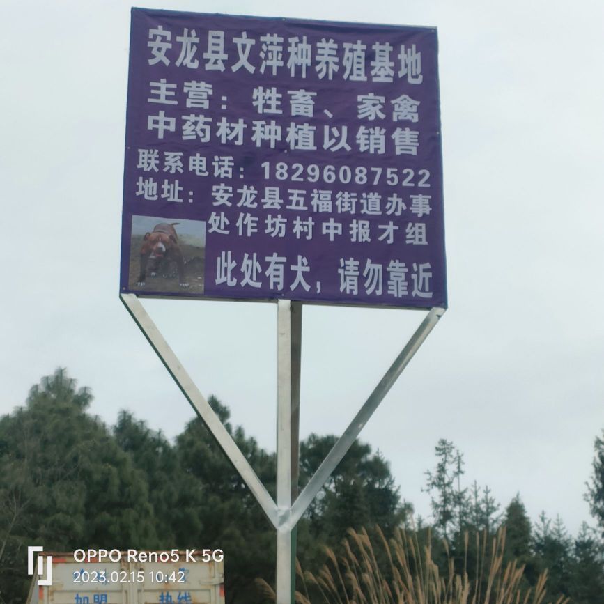 給我推薦一些安龍龍魚的養殖基地，安龍縣龍魚養殖基地