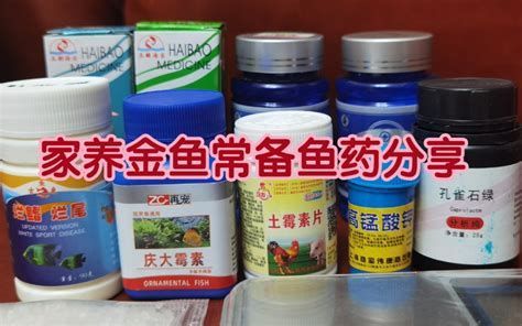 如何正確使用銀龍魚專用藥？，銀龍魚專用藥使用指南