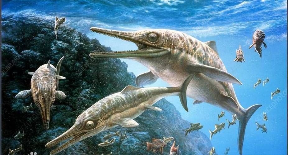 給我一些魚龍的真實(shí)圖片，魚龍有哪些著名的屬種