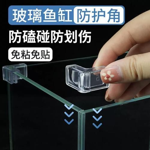 如何預(yù)防魚受傷，arxiv論文助手arxiv論文助手arxiv論文助手 如何預(yù)防魚受傷，arxiv論文助手arxiv論文助手arxiv論文助手 龍魚百科 第5張