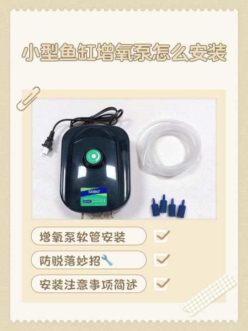 如何預防魚兒趴缸，養魚技術之魚兒趴缸