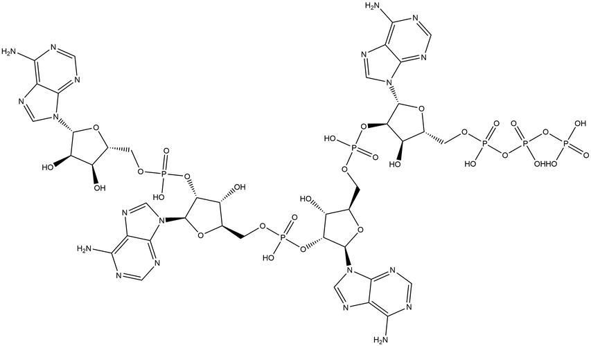 有哪些新型抗真菌藥物，2018年新型抗真菌藥物分子結(jié)構(gòu)式、作用機(jī)制示意圖