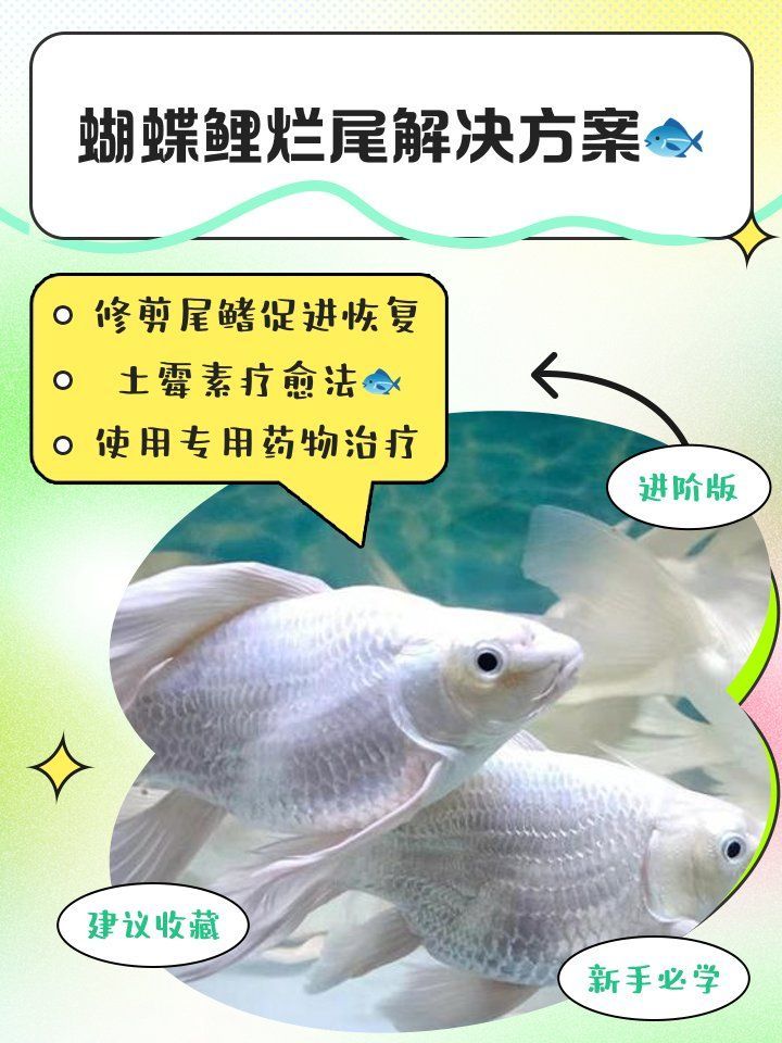 如何判斷魚(yú)是否健康，如何判斷魚(yú)的健康狀況