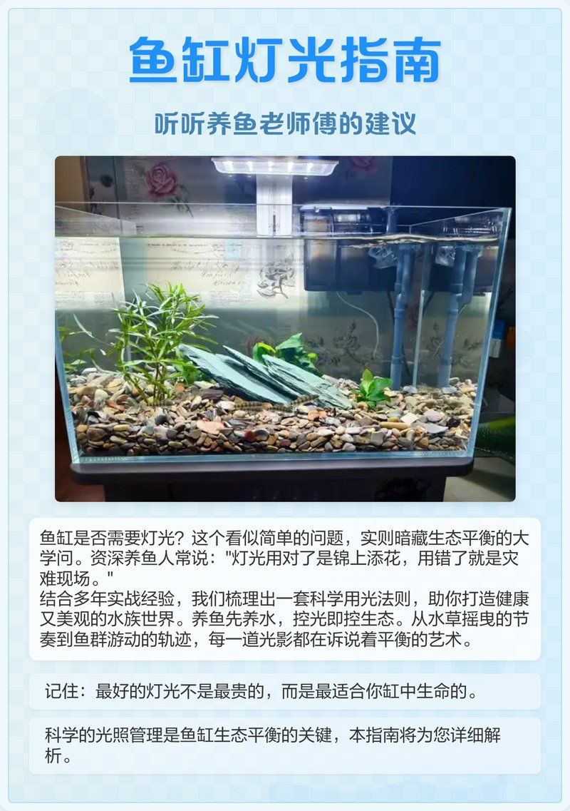 40缸養魚需要開多大的燈，40缸養魚需要多久開一次燈