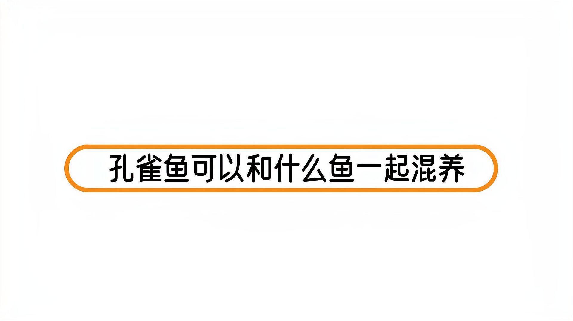 孔雀魚適合和哪些魚混養，哪些魚類適合與孔雀魚混養