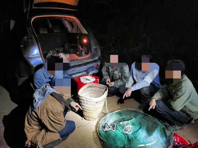 還有哪些類似偷龍魚的案件？，“偷龍魚”是什么意思