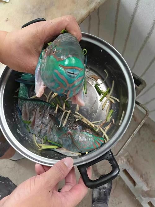 還有哪些類似偷龍魚的案件？，“偷龍魚”是什么意思