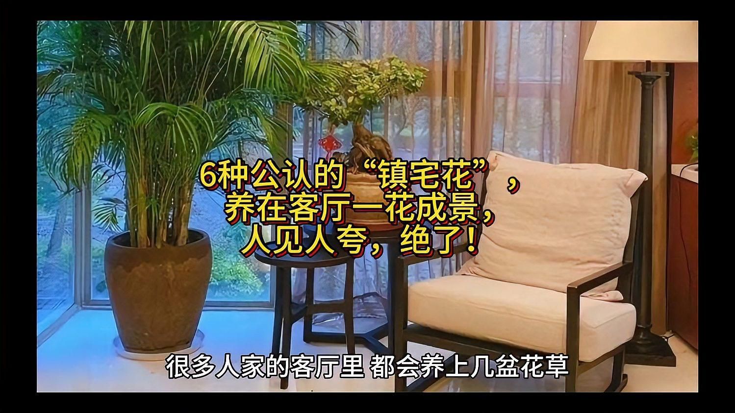 如何養(yǎng)護這些鎮(zhèn)宅聚財花卉，鎮(zhèn)宅聚財花卉養(yǎng)護技巧