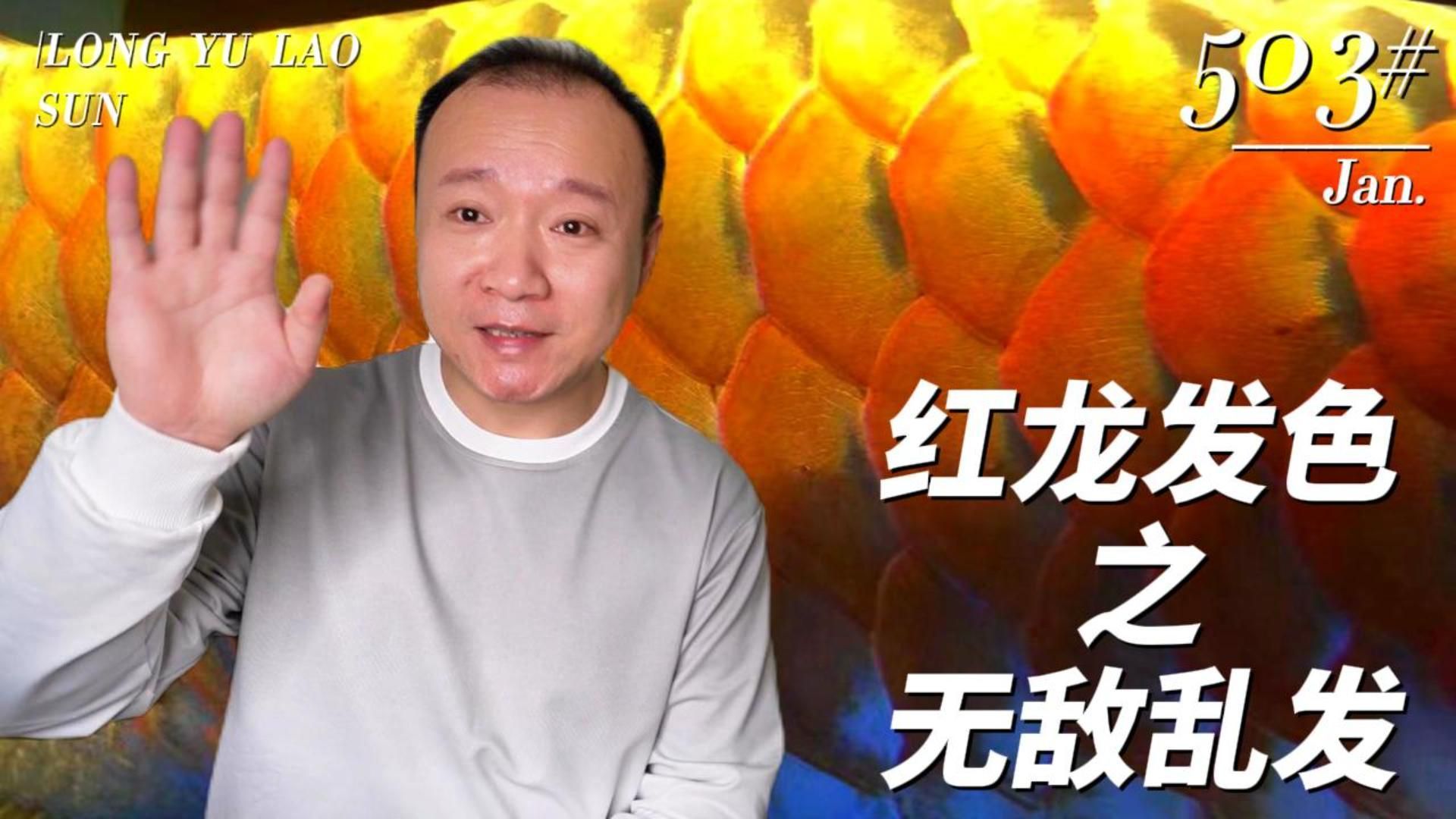 有哪些龍魚品種對顏色特別敏感？，銀龍魚品種對顏色的敏感度有助于養(yǎng)魚者創(chuàng)造一個適宜生活環(huán)境 有哪些龍魚品種對顏色特別敏感？，銀龍魚品種對顏色的敏感度有助于養(yǎng)魚者創(chuàng)造一個適宜生活環(huán)境 龍魚百科 第1張