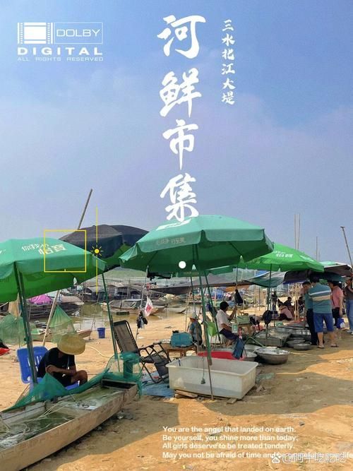 哪里可以購買到正宗的三水龍魚？，三水龍魚如何辨別正宗龍魚品種，如何辨別正宗龍魚品種