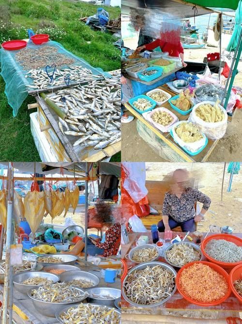 哪里可以購買到正宗的三水龍魚？，三水龍魚如何辨別正宗龍魚品種，如何辨別正宗龍魚品種