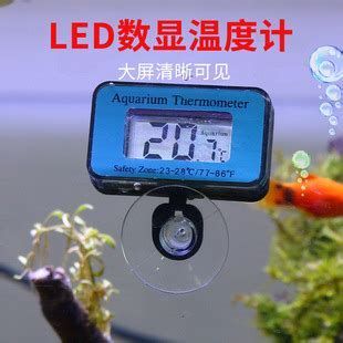 詳解（1000字和配圖）如何調節龍魚缸的水溫？，如何有效地調整龍魚缸的水溫