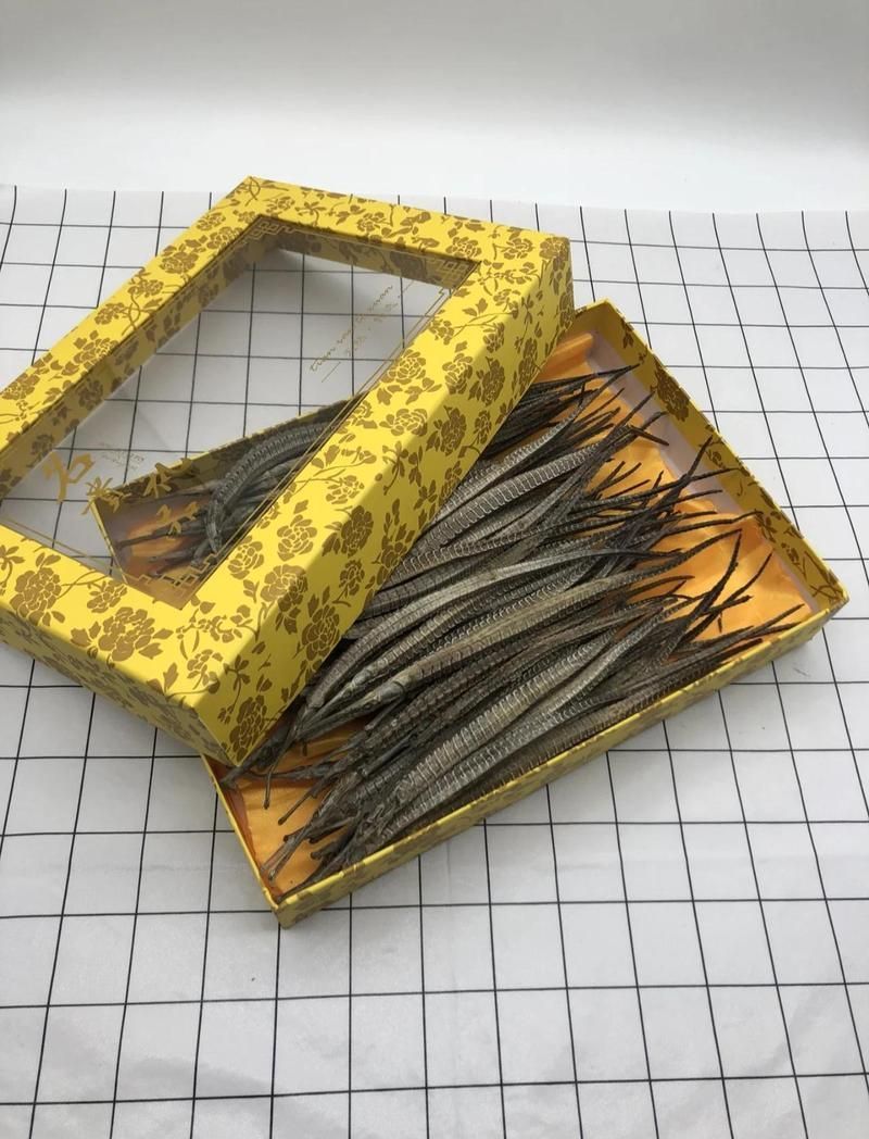海龍有哪些常見的藥用方法，海龍的藥用價值大揭秘