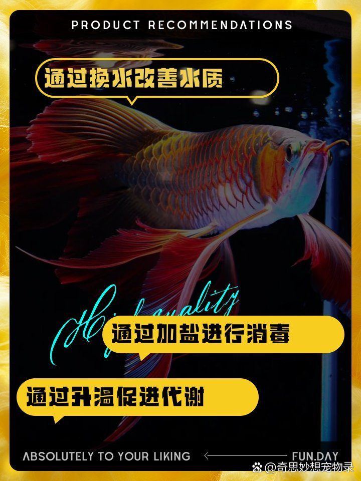 龍魚蒙眼和爛尾能同時治療嗎，龍魚蒙眼和爛尾可以同時治療嗎？