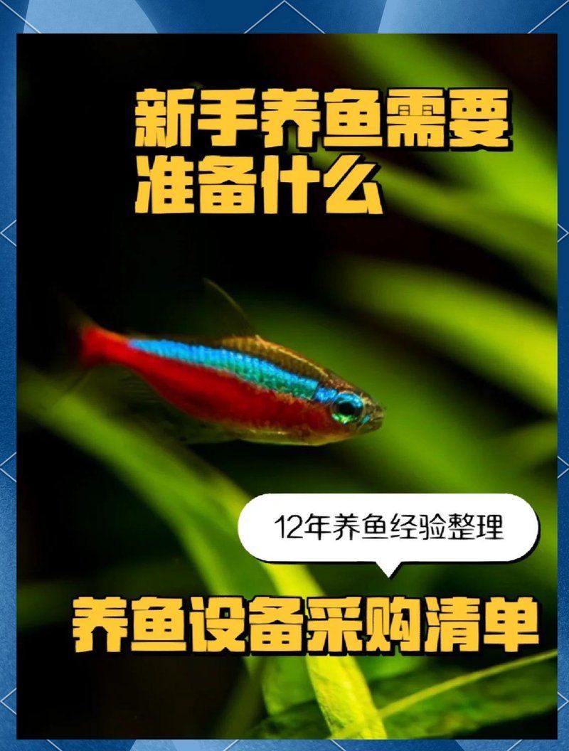養魚需要哪些設備，養魚需要準備哪些設備？