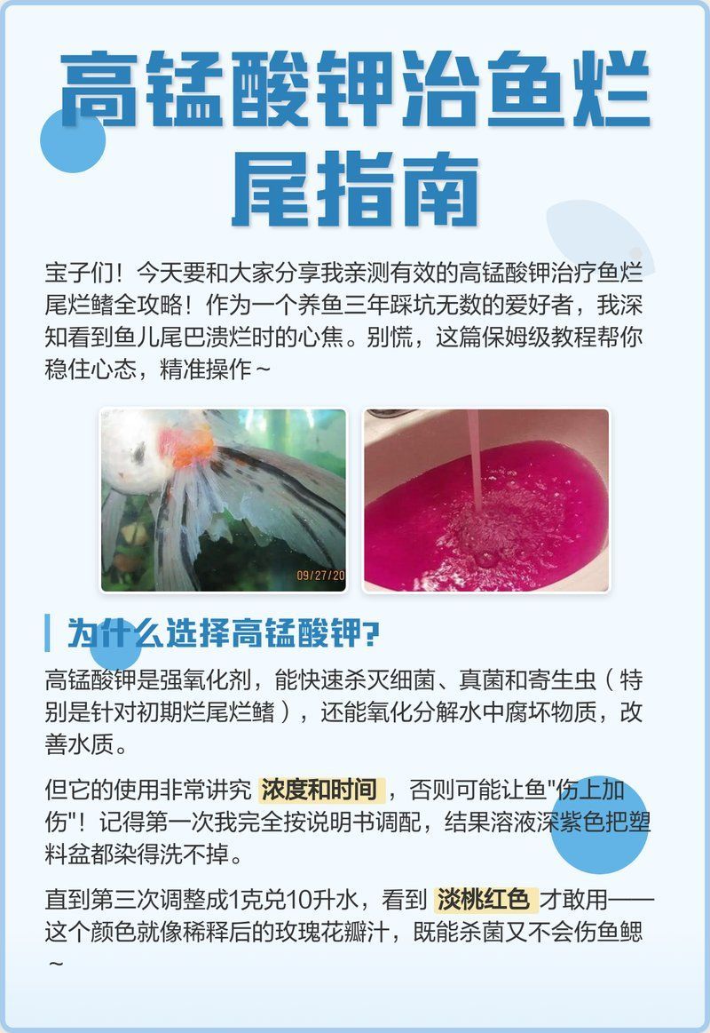 高錳酸鉀治療爛尾病需要多長時間見效，高錳酸鉀治療爛尾病有副作用嗎