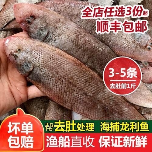 無骨龍魚的市場價格是多少？，無骨龍魚有哪些知名品牌,如何辨別無骨龍魚的真偽？