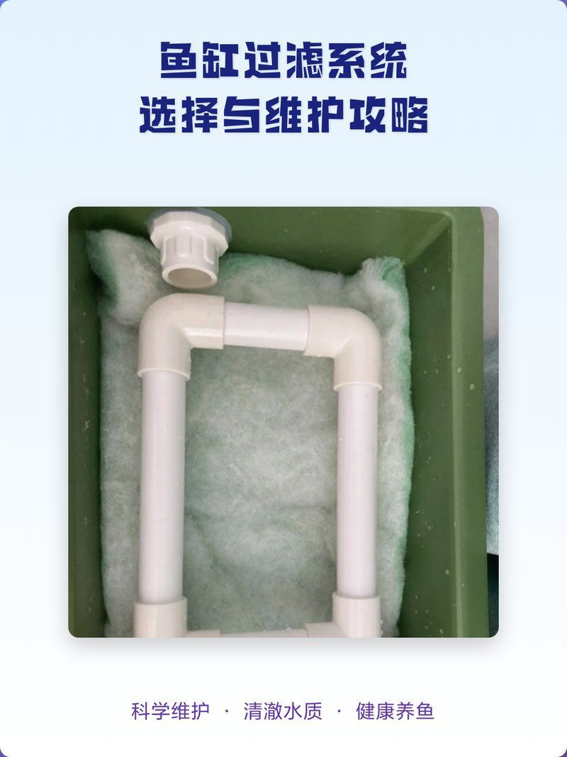魚缸過濾系統如何配置，銀灰色的白最厲害,魚缸過濾系統選擇與維護攻略