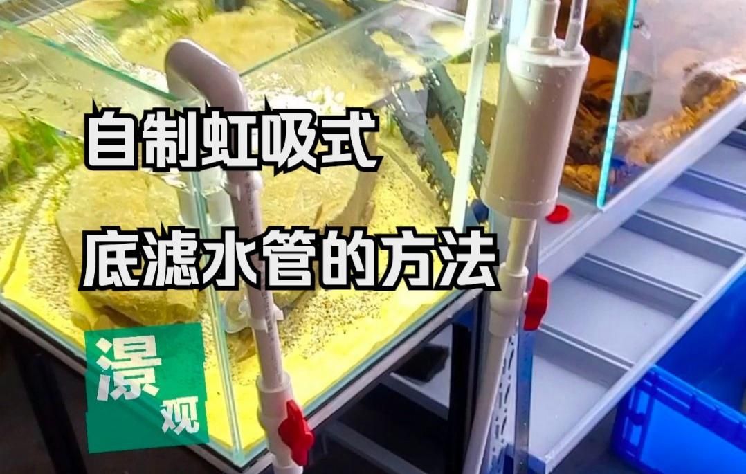 底濾系統(tǒng)如何制作，嗶哩嗶哩，如何設(shè)計(jì)底濾系統(tǒng) 底濾系統(tǒng)如何制作，嗶哩嗶哩，如何設(shè)計(jì)底濾系統(tǒng) 龍魚百科 第2張