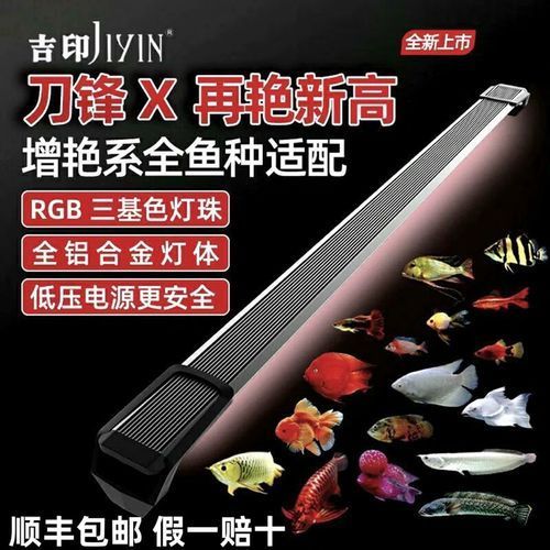 哪個品牌的紅龍魚設備性價比最高，探討紅龍魚設備哪個品牌性價比最高吉印刀鋒系列