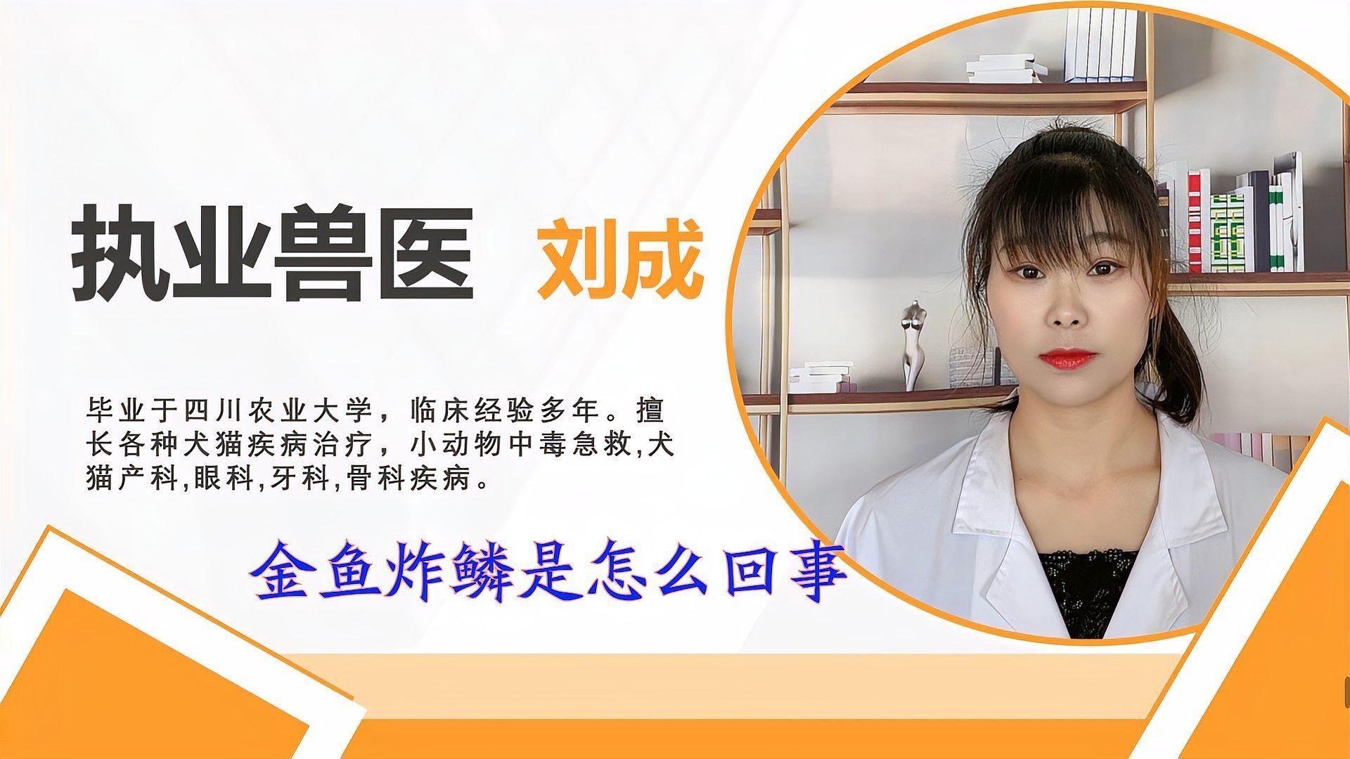 如何判斷金魚是否患有炸鱗病，怎樣判斷金魚是否患有炸鱗病