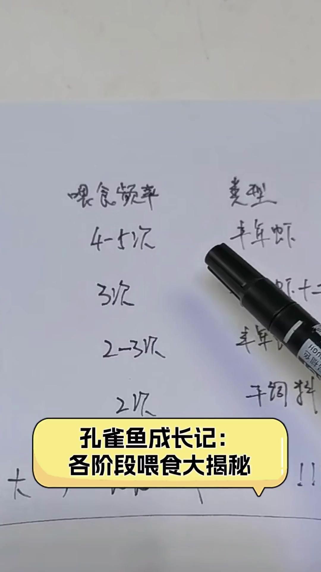 孔雀魚幼魚多久喂一次，孔雀魚幼魚一天喂多少合適孔雀魚幼魚一天喂多少合適