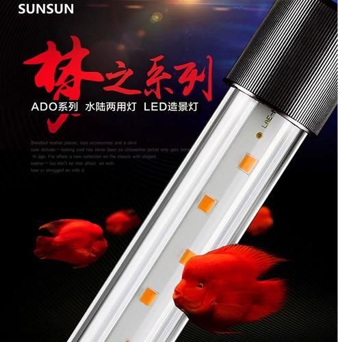 推薦幾款性價比高的龍魚專用燈，幾款高性價比的龍魚專用燈推薦 推薦幾款性價比高的龍魚專用燈，幾款高性價比的龍魚專用燈推薦 龍魚百科 第9張