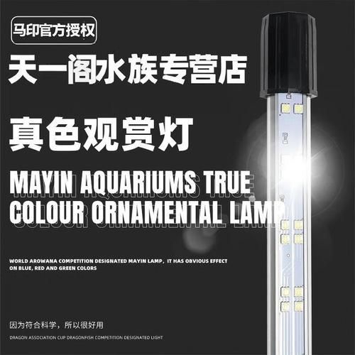 推薦幾款性價比高的龍魚專用燈，幾款高性價比的龍魚專用燈推薦 推薦幾款性價比高的龍魚專用燈，幾款高性價比的龍魚專用燈推薦 龍魚百科 第6張