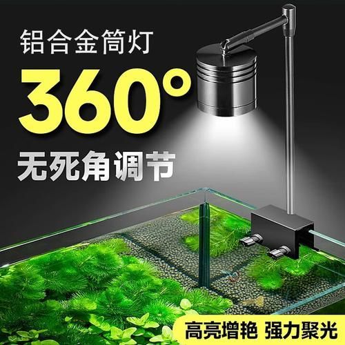 推薦幾款性價比高的龍魚專用燈，幾款高性價比的龍魚專用燈推薦 推薦幾款性價比高的龍魚專用燈，幾款高性價比的龍魚專用燈推薦 龍魚百科 第13張