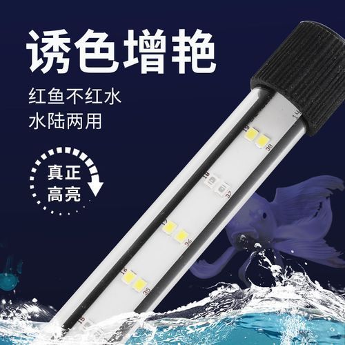 推薦幾款性價比高的龍魚專用燈，幾款高性價比的龍魚專用燈推薦 推薦幾款性價比高的龍魚專用燈，幾款高性價比的龍魚專用燈推薦 龍魚百科 第7張