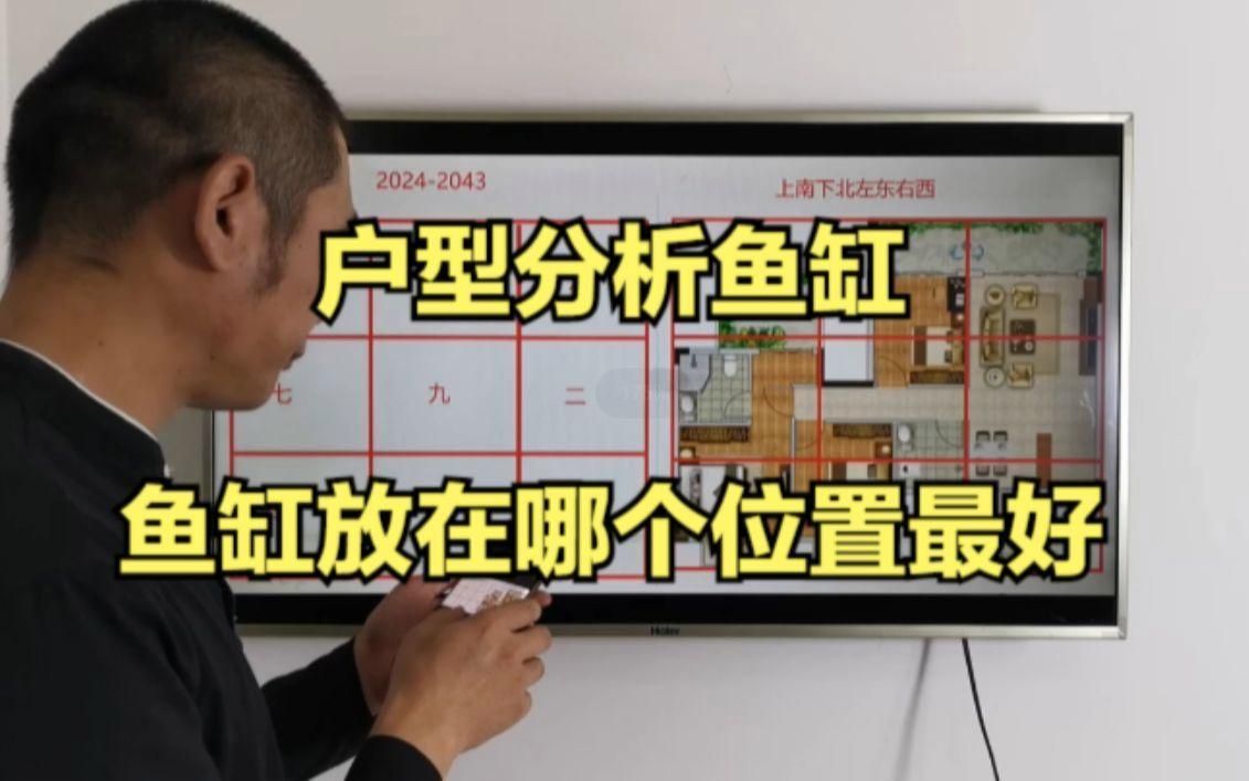 魚缸放客廳哪個(gè)位置最好？，放置于客廳的最佳位置應(yīng)考慮以下幾個(gè)因素以下幾個(gè)因素