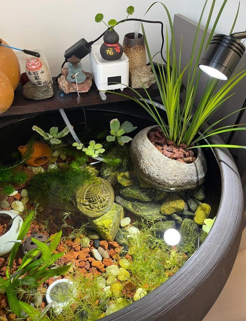 如何判斷自己是否適合養(yǎng)魚(yú)，如何判斷自己是否適合養(yǎng)魚(yú)——科學(xué)自測(cè)指南（1000字內(nèi)）