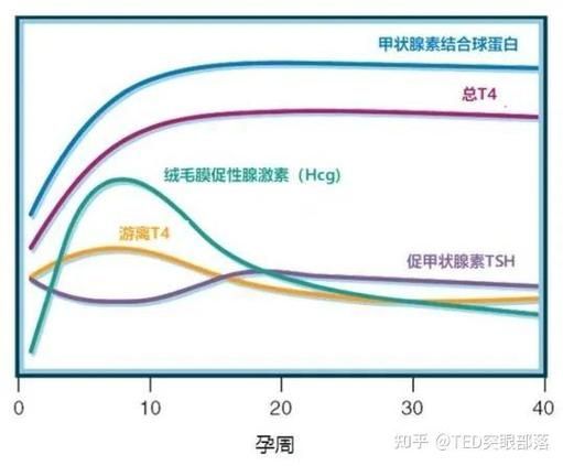 有哪些藥物可以幫助治療魚(yú)突眼，“魚(yú)突眼”的藥物治療