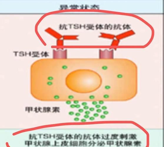 有哪些藥物可以幫助治療魚(yú)突眼，“魚(yú)突眼”的藥物治療