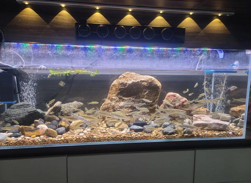 這幾款魚缸的價格范圍是多少，不同類型魚缸的價格范圍