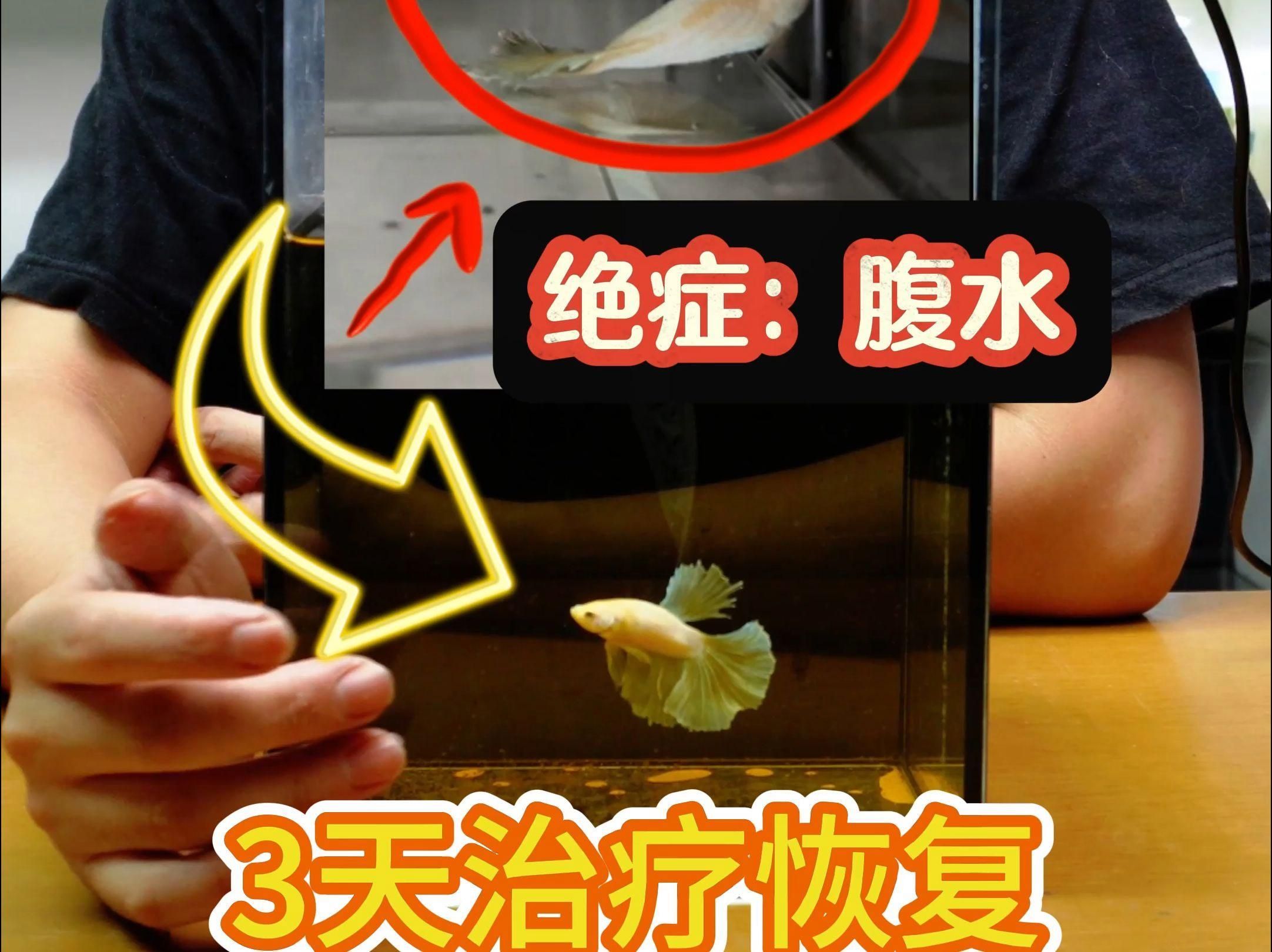 魚炸鱗后多久會恢復，實操3天逆襲治愈率1riverscribe實操3天逆襲治愈率